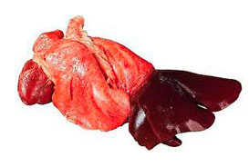 Menudencias - Hígado